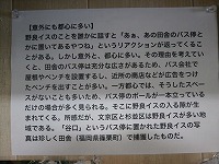 TSUBAKING (14)
