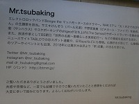 TSUBAKING (26)